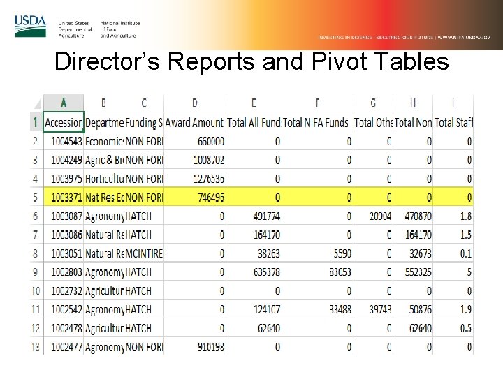 Director’s Reports and Pivot Tables 