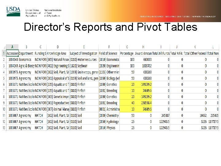 Director’s Reports and Pivot Tables 