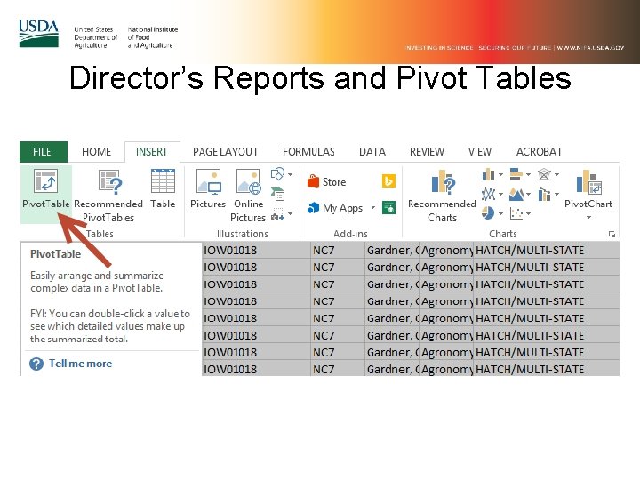 Director’s Reports and Pivot Tables 