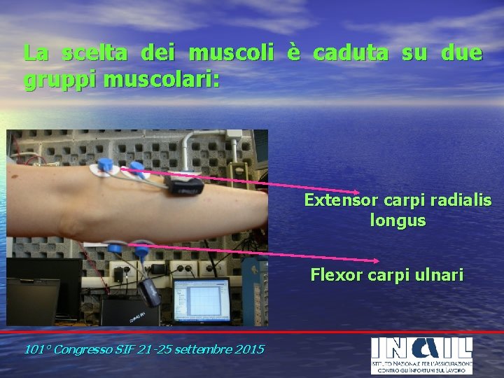 La scelta dei muscoli è caduta su due gruppi muscolari: Extensor carpi radialis longus