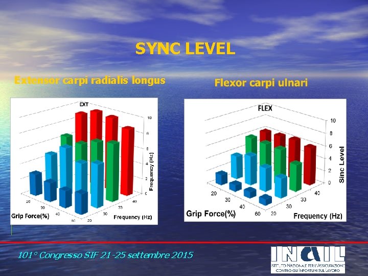 SYNC LEVEL Extensor carpi radialis longus 101° Congresso SIF 21 -25 settembre 2015 