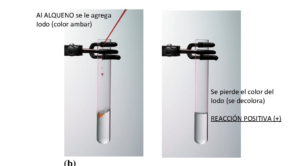 Al ALQUENO se le agrega Iodo (color ambar) Se pierde el color del Iodo