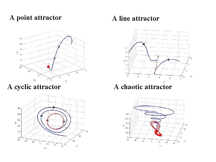 A point attractor A line attractor A cyclic attractor A chaotic attractor 