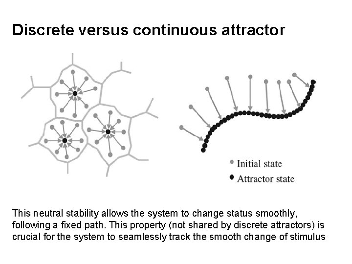 Discrete versus continuous attractor This neutral stability allows the system to change status smoothly,