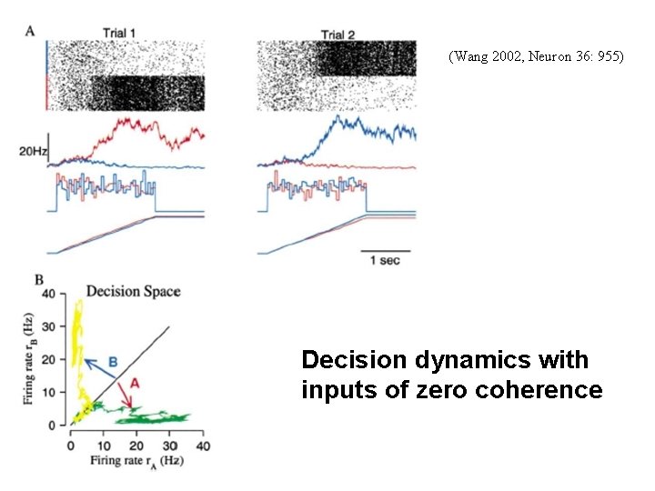 (Wang 2002, Neuron 36: 955) Decision dynamics with inputs of zero coherence 