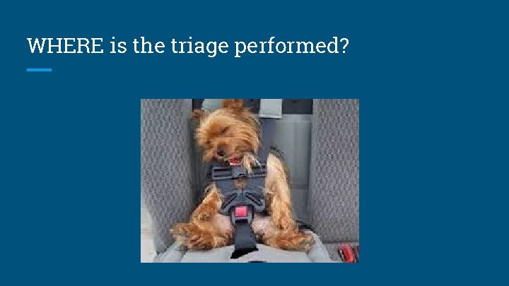 WHERE is the triage performed? 