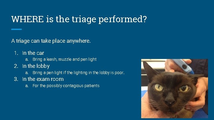 WHERE is the triage performed? A triage can take place anywhere. 1. In the
