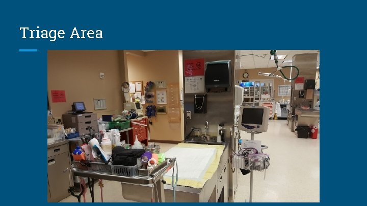 Triage Area 