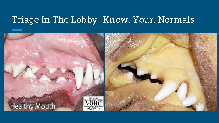 Triage In The Lobby- Know. Your. Normals 