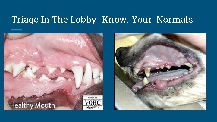 Triage In The Lobby- Know. Your. Normals 