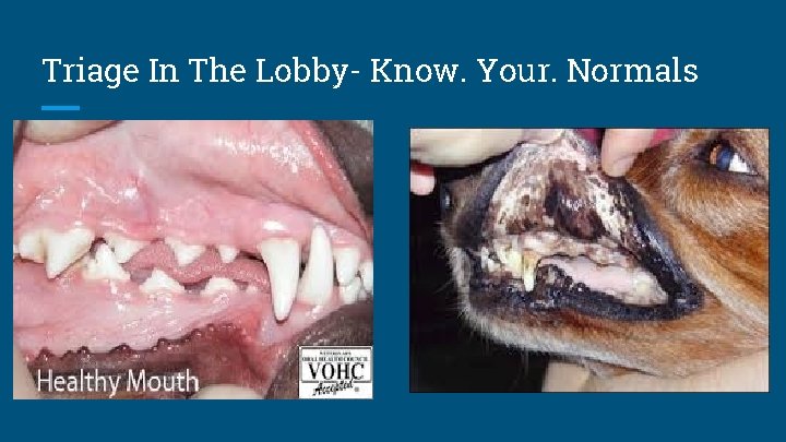 Triage In The Lobby- Know. Your. Normals 