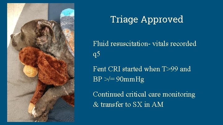 Triage Approved Fluid resuscitation- vitals recorded q 5 Fent CRI started when T>99 and