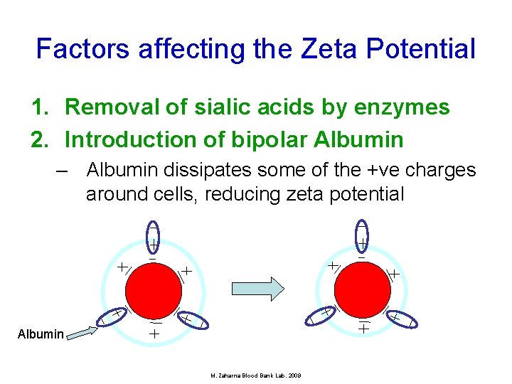 Factors affecting the Zeta Potential 1. Removal of sialic acids by enzymes 2. Introduction