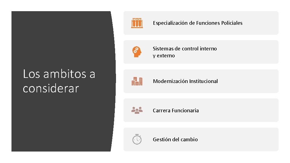 Especialización de Funciones Policiales Sistemas de control interno y externo Los ambitos a considerar