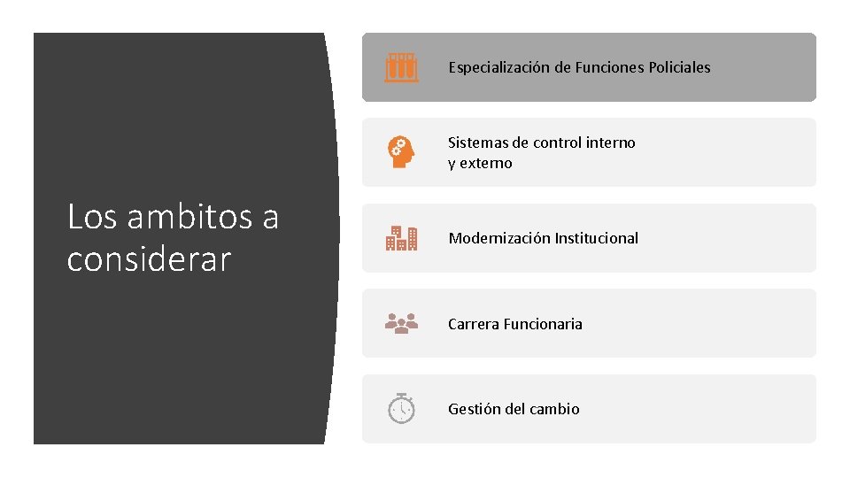 Especialización de Funciones Policiales Sistemas de control interno y externo Los ambitos a considerar