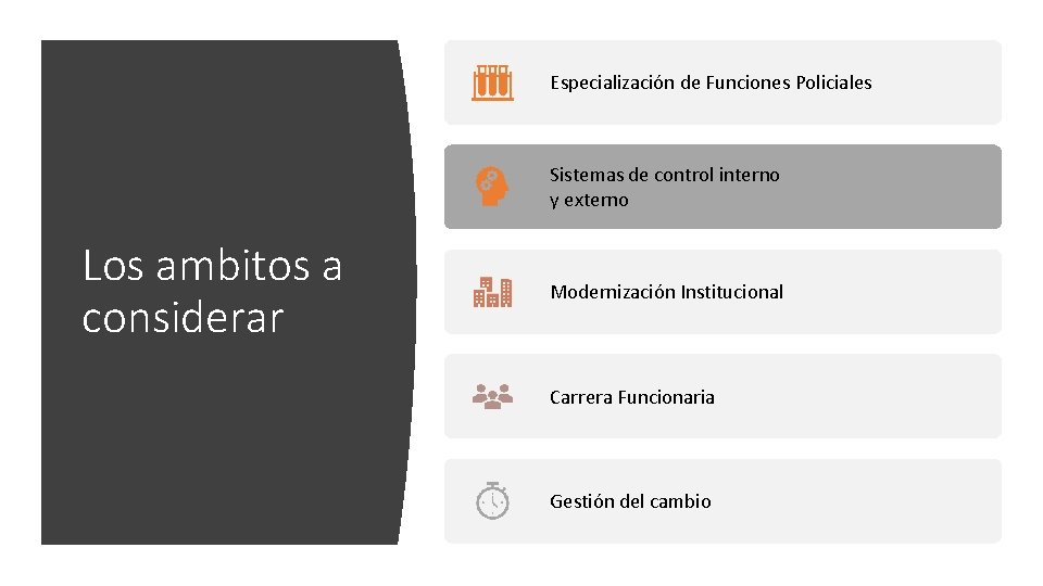 Especialización de Funciones Policiales Sistemas de control interno y externo Los ambitos a considerar