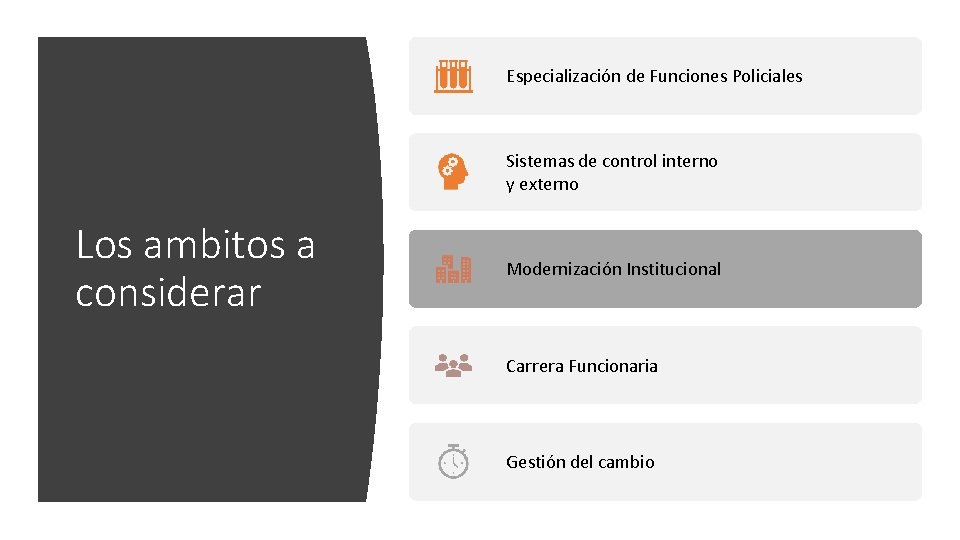 Especialización de Funciones Policiales Sistemas de control interno y externo Los ambitos a considerar