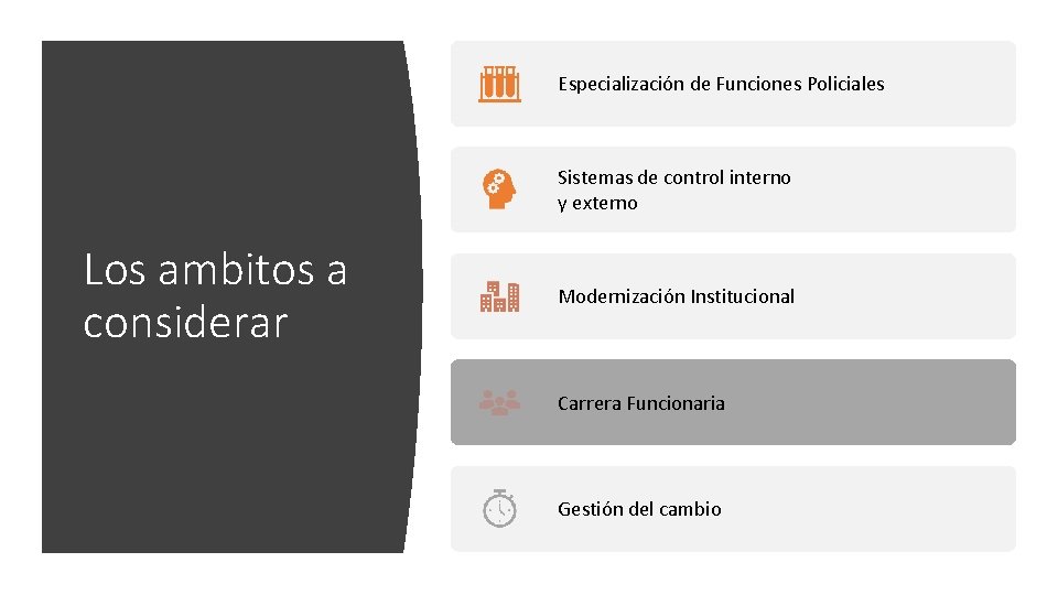 Especialización de Funciones Policiales Sistemas de control interno y externo Los ambitos a considerar