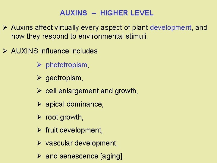AUXINS -- HIGHER LEVEL Ø Auxins affect virtually every aspect of plant development, and