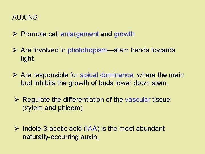 AUXINS Ø Promote cell enlargement and growth Ø Are involved in phototropism—stem bends towards
