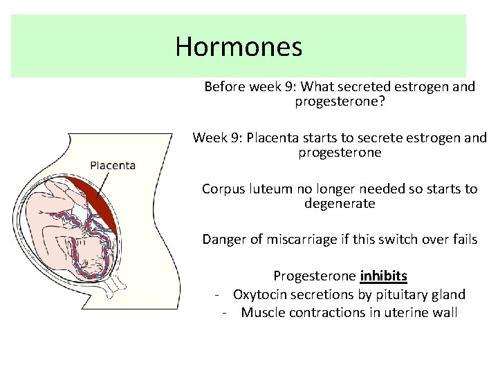 Hormones Before week 9: What secreted estrogen and progesterone? Week 9: Placenta starts to