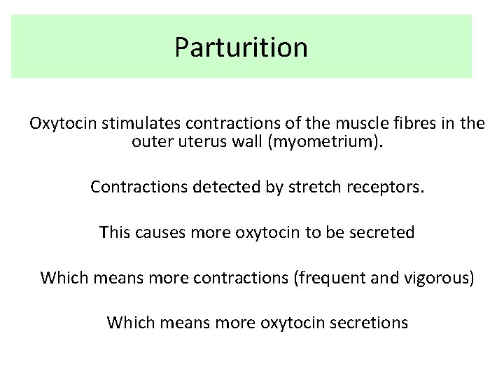 Parturition Oxytocin stimulates contractions of the muscle fibres in the outerus wall (myometrium). Contractions