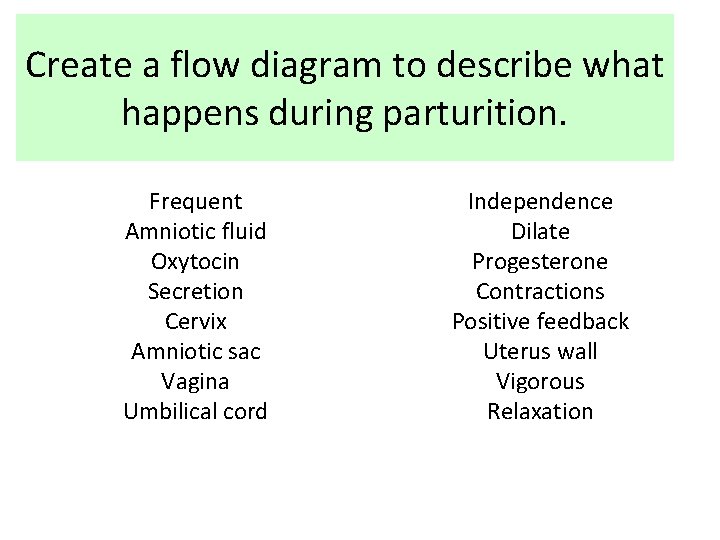Create a flow diagram to describe what happens during parturition. Frequent Amniotic fluid Oxytocin