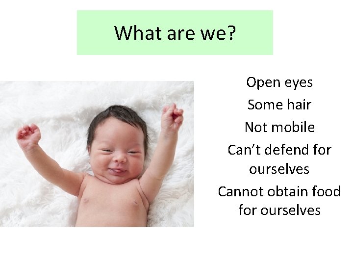 What are we? Open eyes Some hair Not mobile Can’t defend for ourselves Cannot