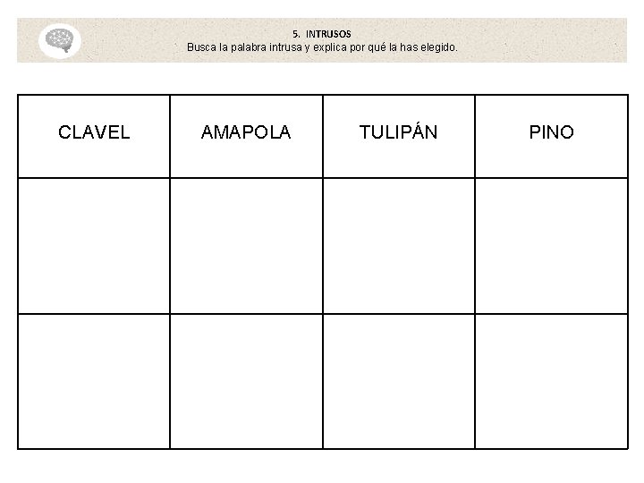 5. INTRUSOS Busca la palabra intrusa y explica por qué la has elegido. CLAVEL