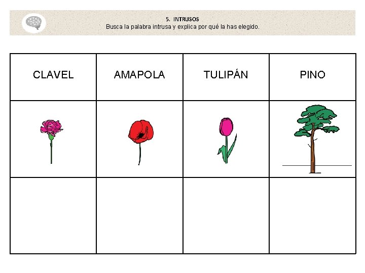 5. INTRUSOS Busca la palabra intrusa y explica por qué la has elegido. CLAVEL