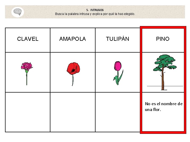 5. INTRUSOS Busca la palabra intrusa y explica por qué la has elegido. CLAVEL