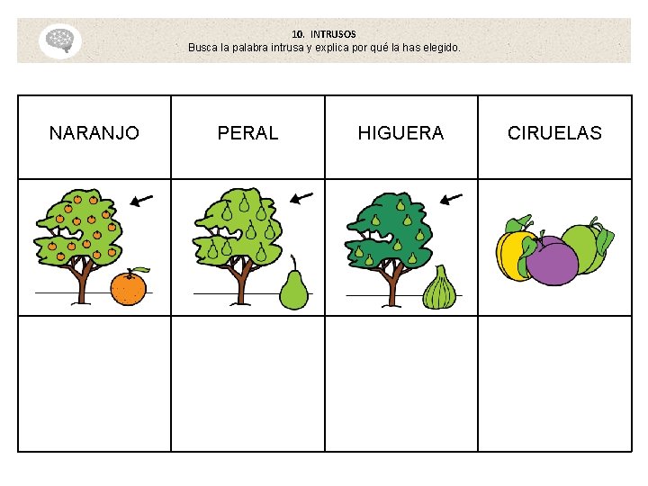 10. INTRUSOS Busca la palabra intrusa y explica por qué la has elegido. NARANJO