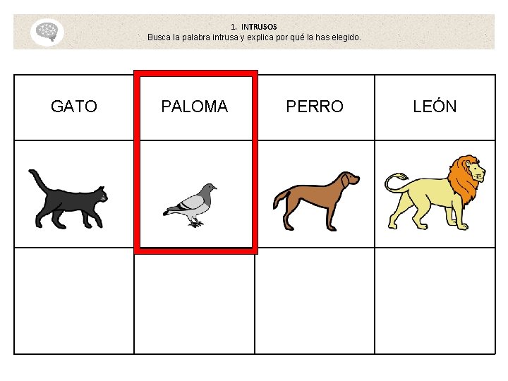 1. INTRUSOS Busca la palabra intrusa y explica por qué la has elegido. GATO