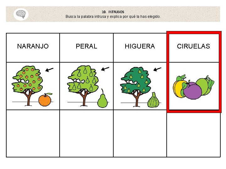 10. INTRUSOS Busca la palabra intrusa y explica por qué la has elegido. NARANJO