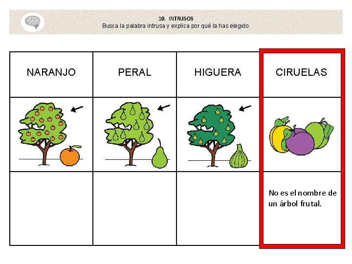 10. INTRUSOS Busca la palabra intrusa y explica por qué la has elegido. NARANJO