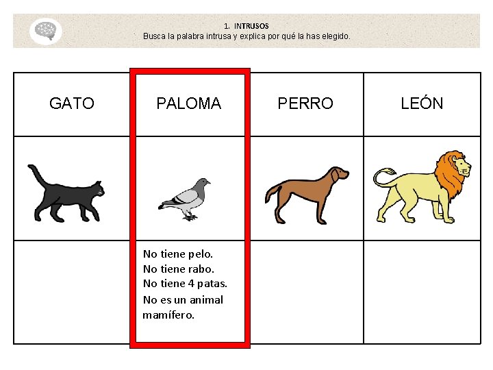 1. INTRUSOS Busca la palabra intrusa y explica por qué la has elegido. GATO