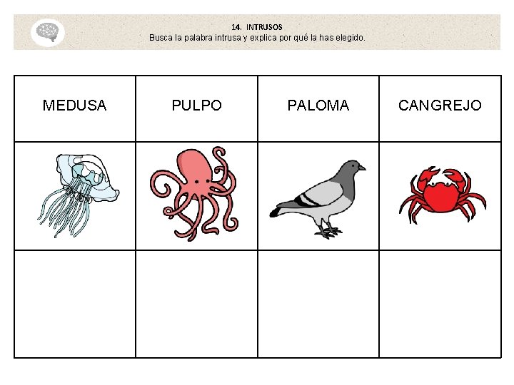 14. INTRUSOS Busca la palabra intrusa y explica por qué la has elegido. MEDUSA