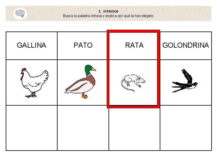 2. INTRUSOS Busca la palabra intrusa y explica por qué la has elegido. GALLINA