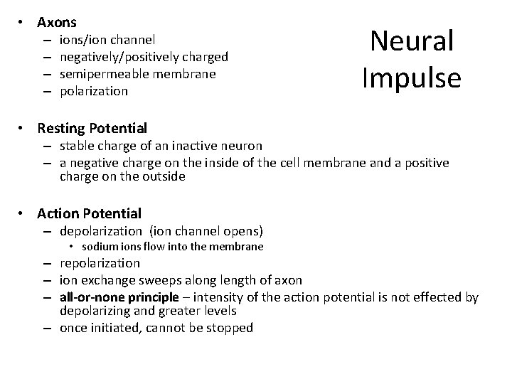  • Axons – – ions/ion channel negatively/positively charged semipermeable membrane polarization Neural Impulse