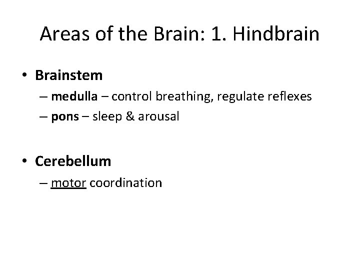 Areas of the Brain: 1. Hindbrain • Brainstem – medulla – control breathing, regulate