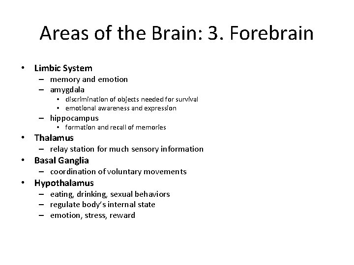 Areas of the Brain: 3. Forebrain • Limbic System – memory and emotion –