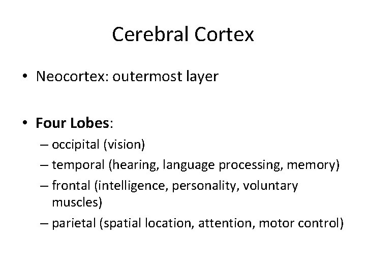 Cerebral Cortex • Neocortex: outermost layer • Four Lobes: – occipital (vision) – temporal