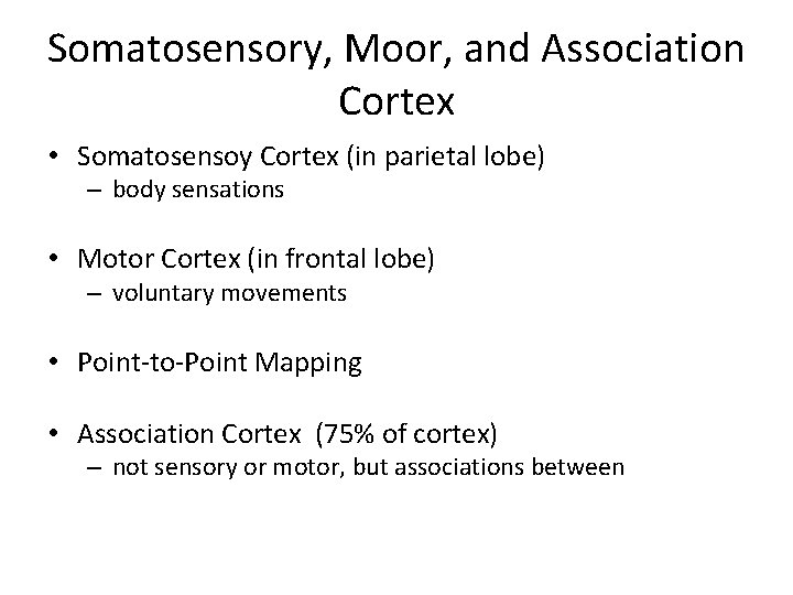 Somatosensory, Moor, and Association Cortex • Somatosensoy Cortex (in parietal lobe) – body sensations