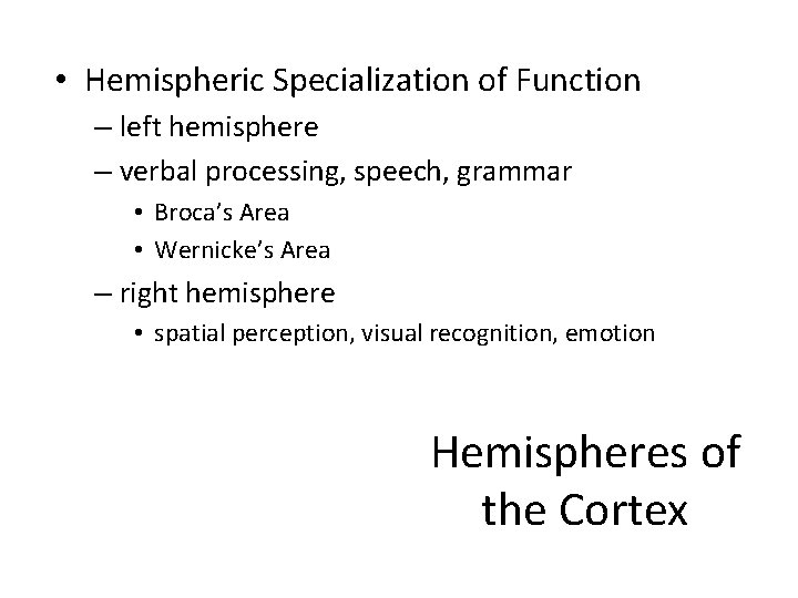  • Hemispheric Specialization of Function – left hemisphere – verbal processing, speech, grammar