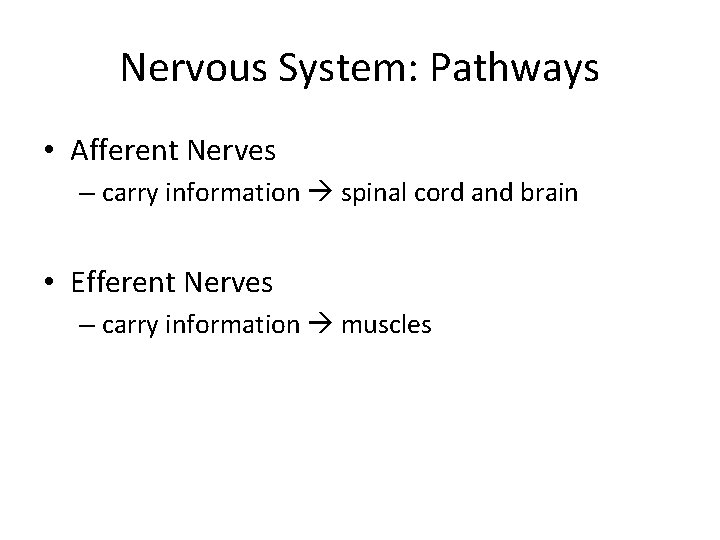 Nervous System: Pathways • Afferent Nerves – carry information spinal cord and brain •