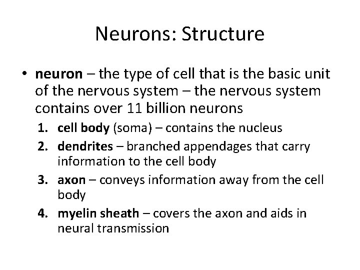 Neurons: Structure • neuron – the type of cell that is the basic unit