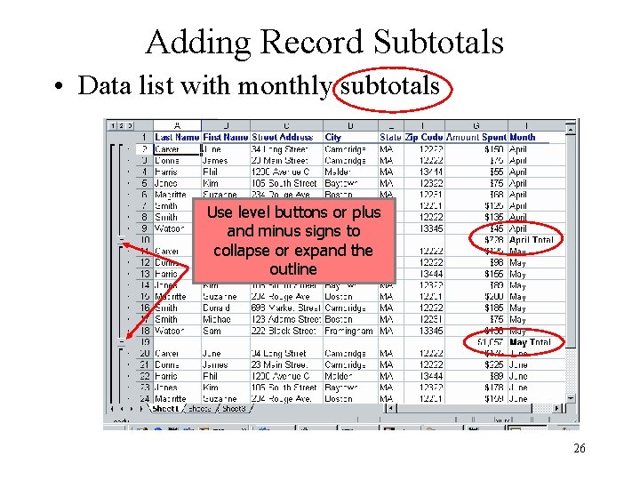 Adding Record Subtotals • Data list with monthly subtotals Use level buttons or plus