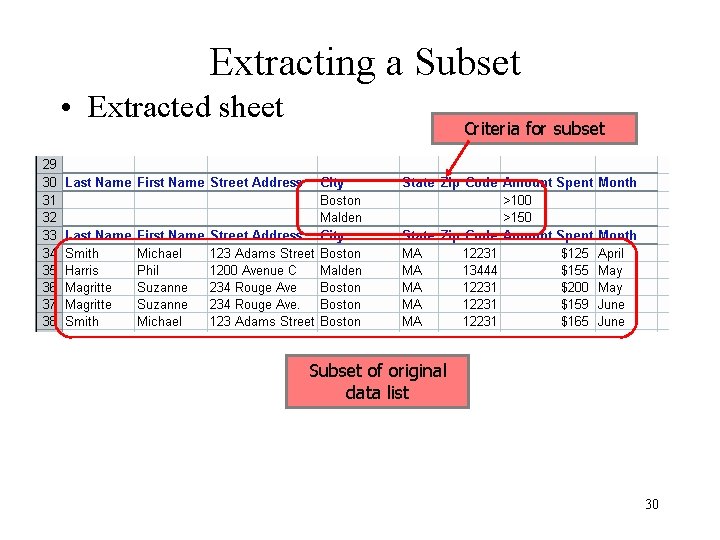 Extracting a Subset • Extracted sheet Criteria for subset Subset of original data list