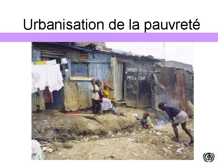 Urbanisation de la pauvreté 