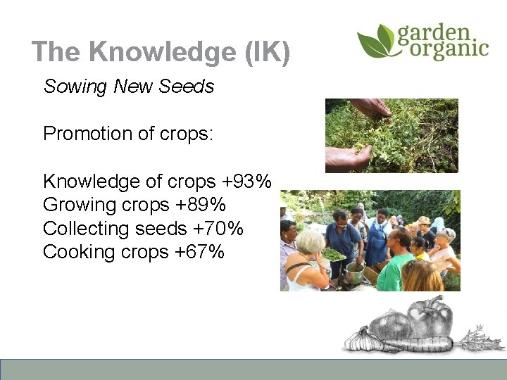 The Knowledge (IK) Sowing New Seeds Promotion of crops: Knowledge of crops +93% Growing